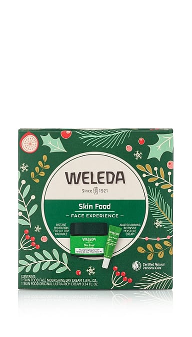 Skin Food Face Experience