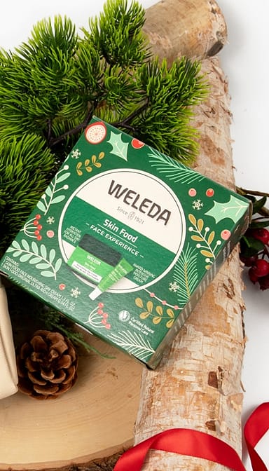 Skin Food Face Experience